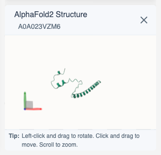Structure Viewer - showing 3D protein structure